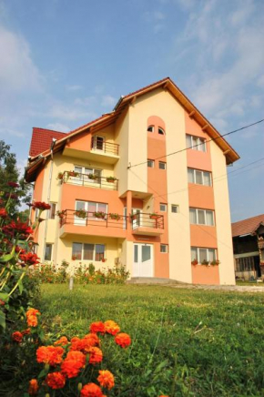 Pension Nicoleta